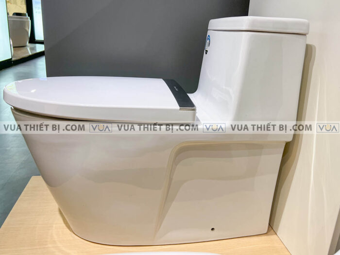 anh thuc te bon cau 1 khoi american standard 2007 wt 2