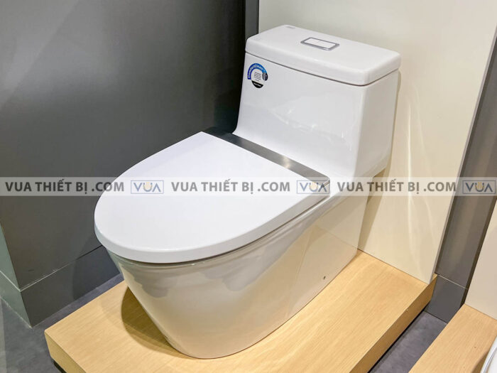 anh thuc te bon cau 1 khoi american standard 2007 wt 4