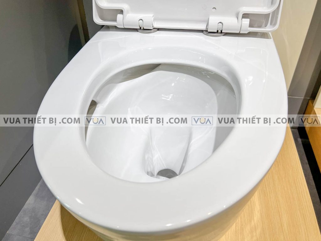 anh thuc te bon cau 1 khoi american standard 2007 wt 6