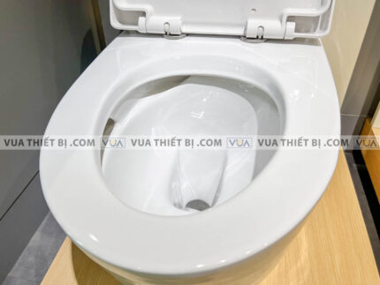 anh thuc te bon cau 1 khoi american standard 2007 wt 6