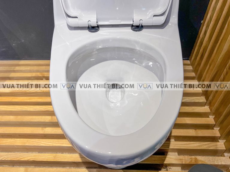 anh thuc te bon cau 1 khoi american standard 2050 wt 4