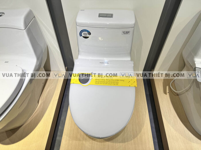 anh thuc te bon cau 1 khoi american standard vf 1808e 3