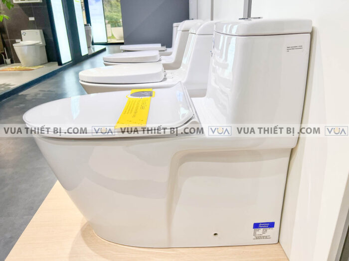 anh thuc te bon cau 1 khoi american standard vf 1808e 5