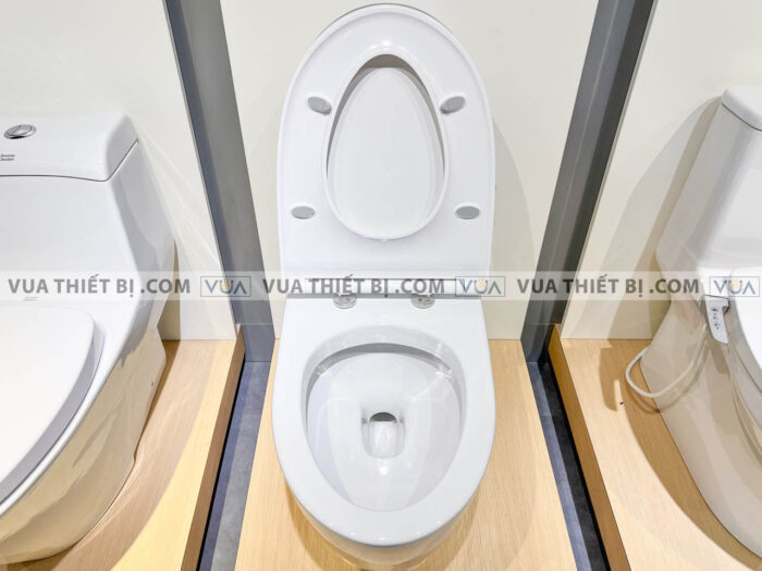 anh thuc te bon cau 1 khoi american standard vf 1808e 8