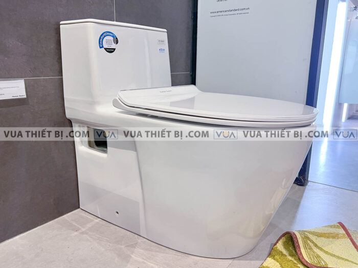 anh thuc te bon cau 1 khoi american standard vf 1808et 1