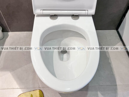 anh thuc te bon cau 1 khoi american standard vf 1808et 3