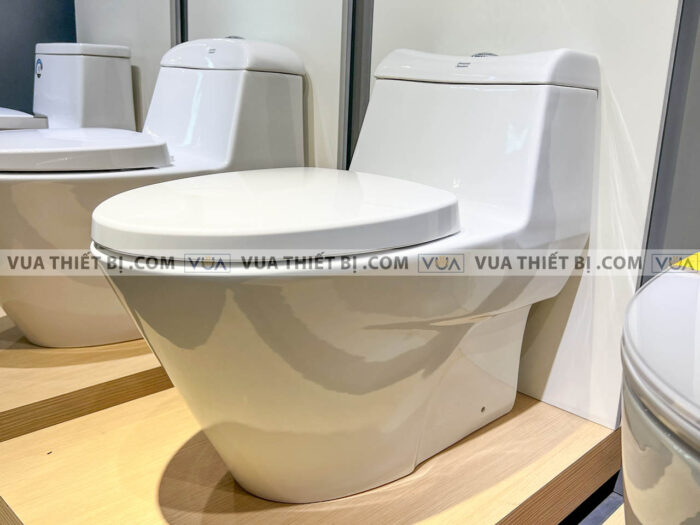 anh thuc te bon cau 1 khoi american standard vf 2010 2