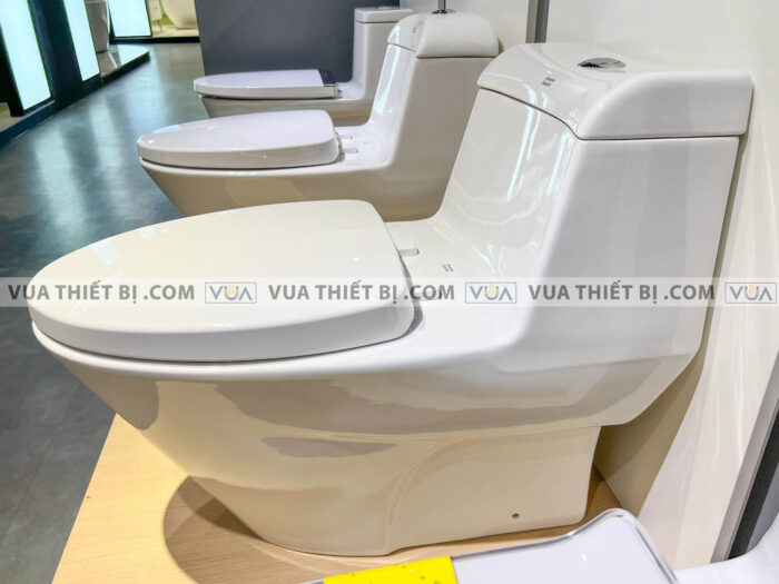 anh thuc te bon cau 1 khoi american standard vf 2010 4