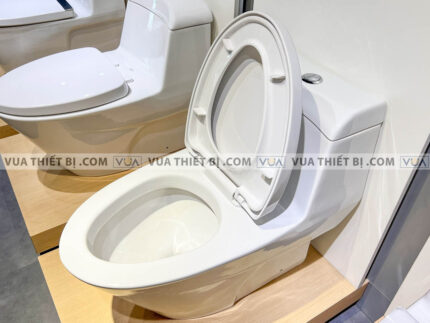 anh thuc te bon cau 1 khoi american standard vf 2010 5