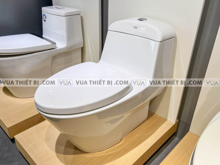 anh thuc te bon cau 1 khoi american standard vf 2011 4