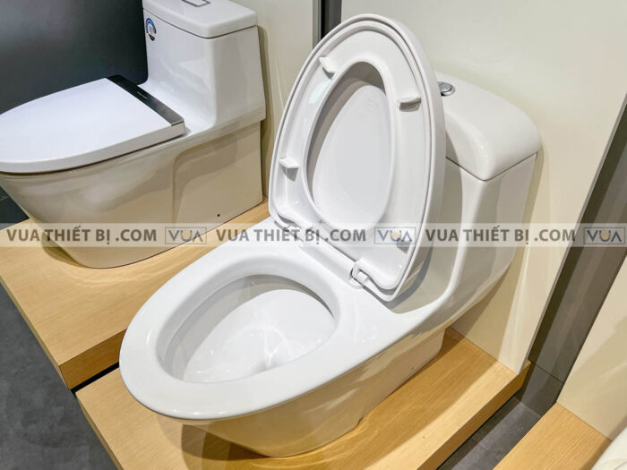 anh thuc te bon cau 1 khoi american standard vf 2011 6