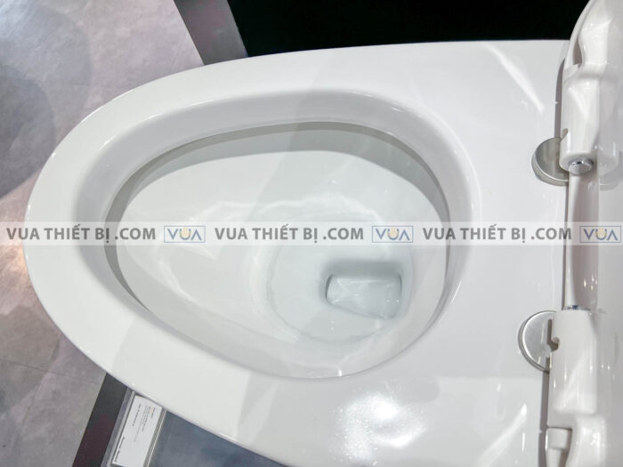 anh thuc te bon cau 1 khoi american standard wp 1830 5