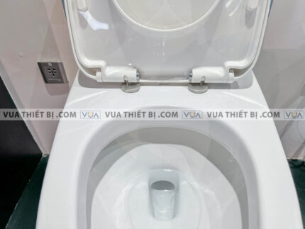 anh thuc te bon cau 1 khoi american standard wp 1830 6