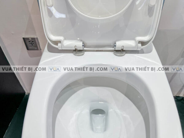 anh thuc te bon cau 1 khoi american standard wp 1830 6