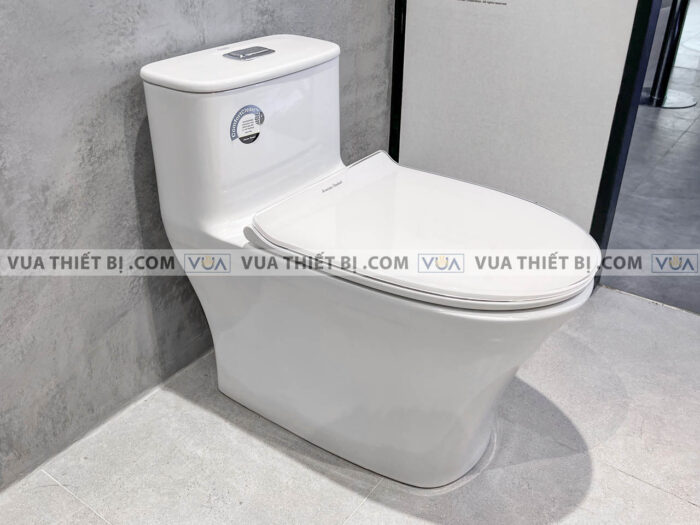 anh thuc te bon cau 1 khoi american standard wp 1880 2