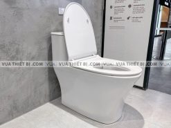 anh thuc te bon cau 1 khoi american standard wp 1880 4