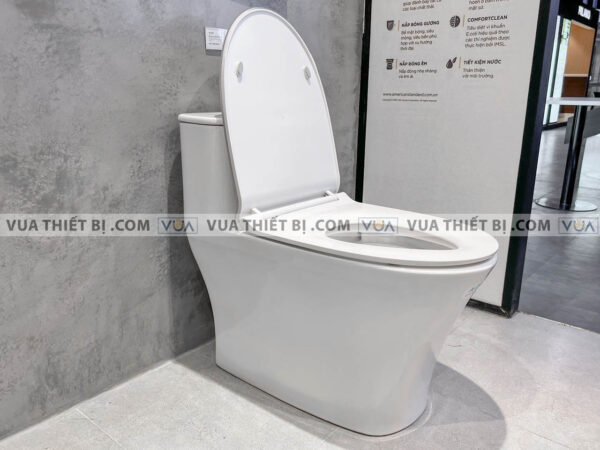 anh thuc te bon cau 1 khoi american standard wp 1880 4