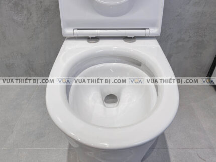 anh thuc te bon cau 1 khoi american standard wp 1880 5