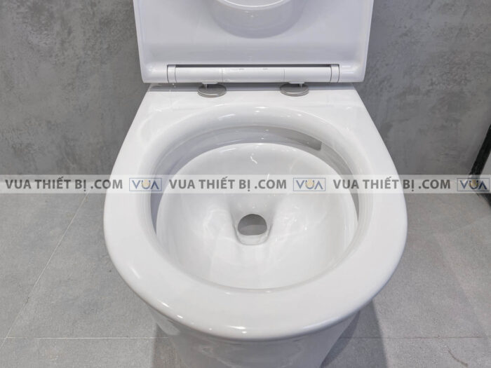 anh thuc te bon cau 1 khoi american standard wp 1880 5