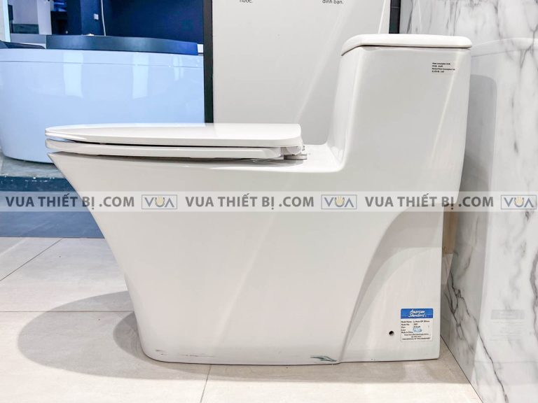 anh thuc te bon cau 1 khoi american standard wp 2009 1