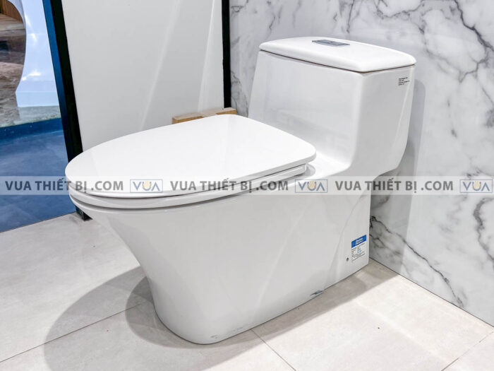 anh thuc te bon cau 1 khoi american standard wp 2009 2