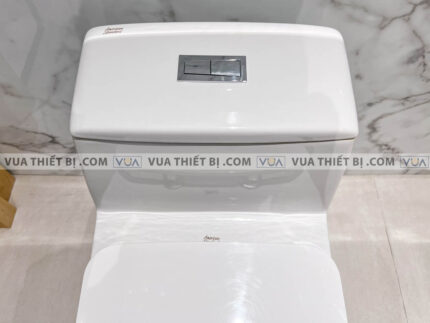 anh thuc te bon cau 1 khoi american standard wp 2009 3