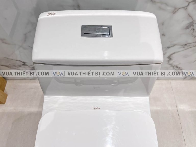 anh thuc te bon cau 1 khoi american standard wp 2009 3