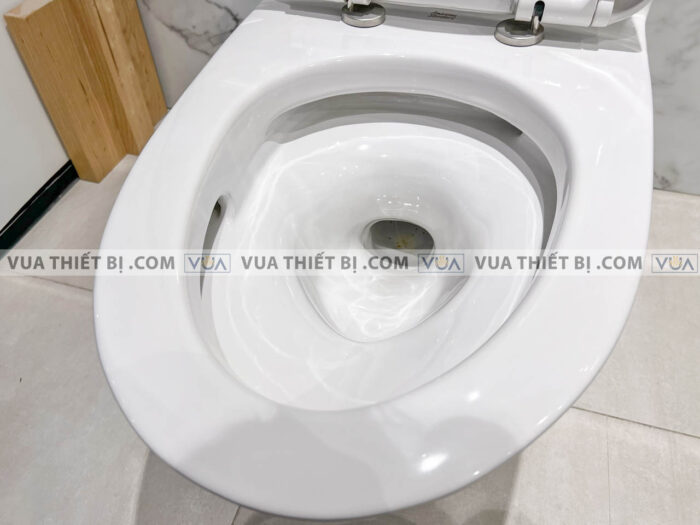 anh thuc te bon cau 1 khoi american standard wp 2009 4