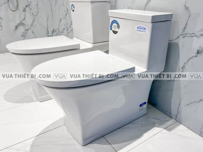 anh thuc te bon cau 1 khoi american standard wp 2025 1