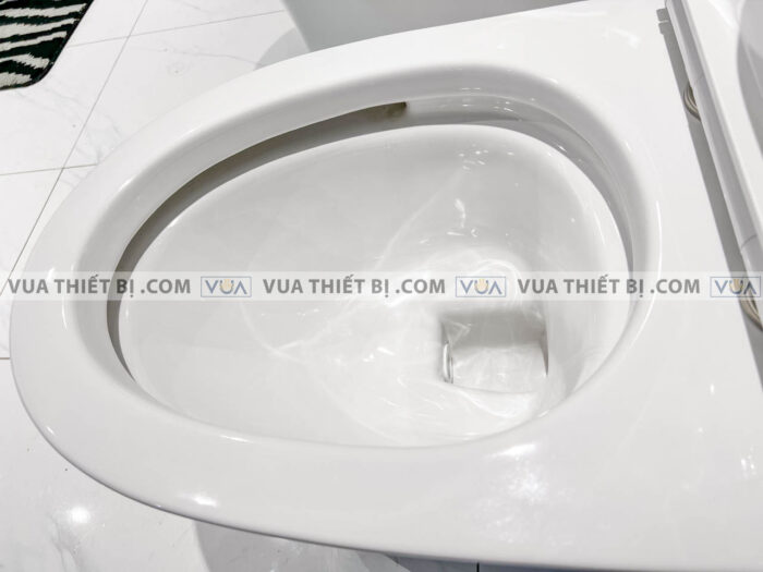 anh thuc te bon cau 1 khoi american standard wp 2025 4