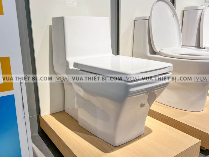 anh thuc te bon cau 1 khoi american standard wp 2060 2