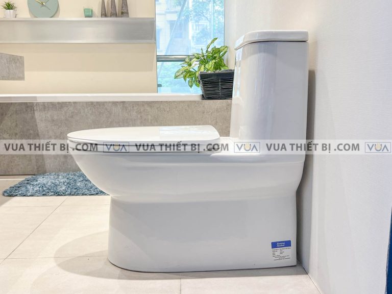 anh thuc te bon cau 1 khoi american standard wp 2073 1