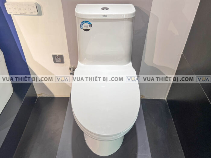 anh thuc te bon cau 1 khoi american standard wp 2073 4