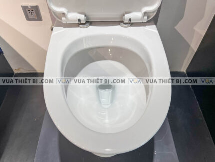 anh thuc te bon cau 1 khoi american standard wp 2073 6