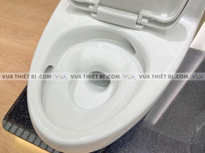 anh thuc te bon cau 1 khoi inax ac 4005vn aqua ceramic nap em 3