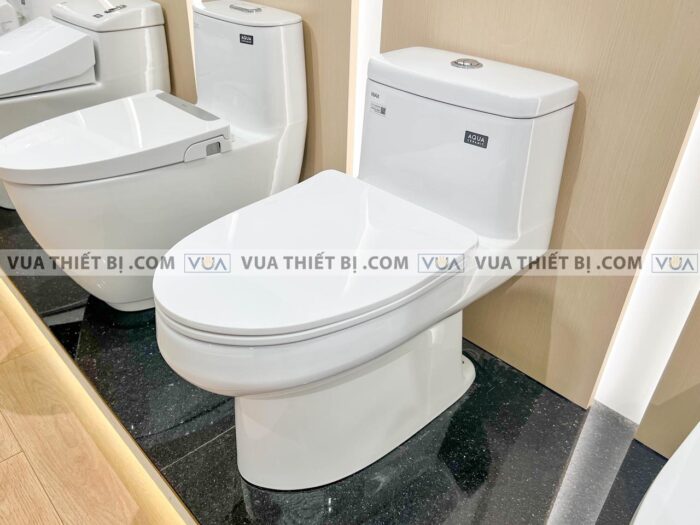 anh thuc te bon cau 1 khoi inax ac 939vn 2 aqua ceramic nap em 3