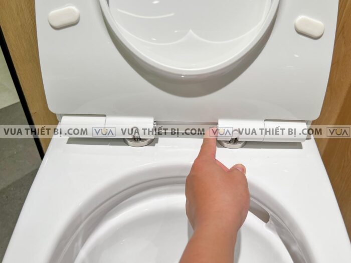 anh thuc te bon cau 1 khoi toto ms188vkt8 nap em tc600vs 10