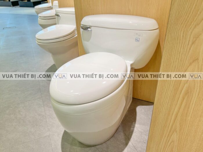 anh thuc te bon cau 1 khoi toto ms366t7 nap em tc6040s 2