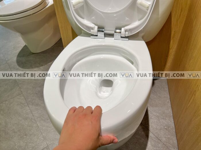 anh thuc te bon cau 1 khoi toto ms366t7 nap em tc6040s 6