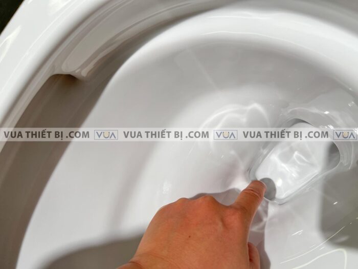 anh thuc te bon cau 1 khoi toto ms366t7 nap em tc6040s 7