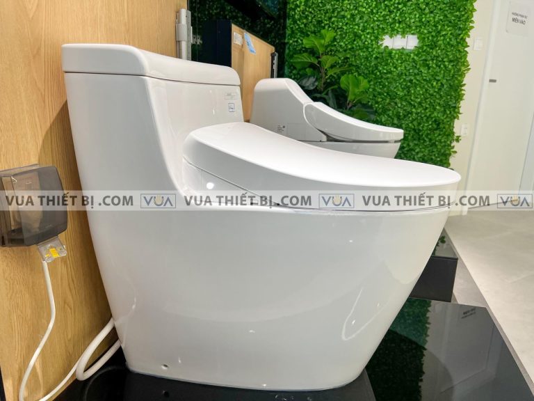 anh thuc te bon cau 1 khoi toto ms636cdrw12 nap rua dien tu tcf4911ez 4