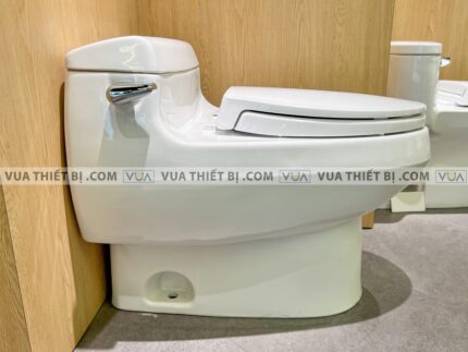 anh thuc te bon cau 1 khoi toto ms688t2 nap em tc393vs 1