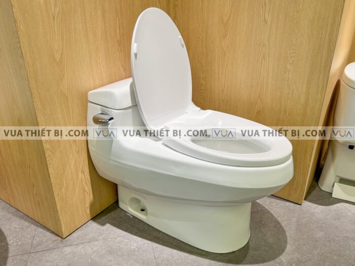 anh thuc te bon cau 1 khoi toto ms688t2 nap em tc393vs 6