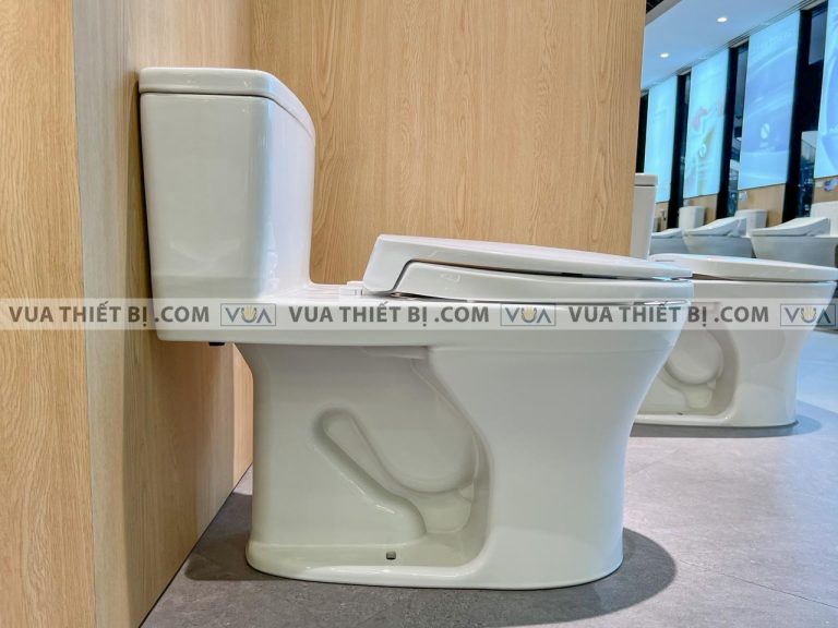 anh thuc te bon cau 1 khoi toto ms855dt2 nap em tc393vs 1