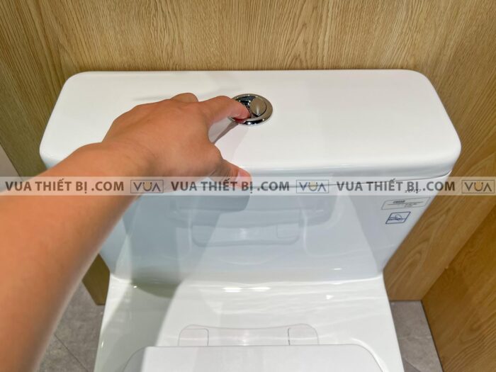 anh thuc te bon cau 1 khoi toto ms855dt2 nap em tc393vs 4