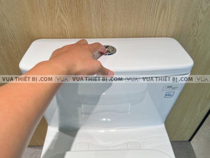 anh thuc te bon cau 1 khoi toto ms855dt3 nap em tc385vs 4