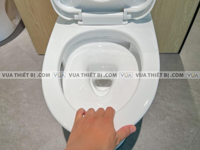 anh thuc te bon cau 1 khoi toto ms855dt3 nap em tc385vs 7