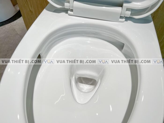 anh thuc te bon cau 1 khoi toto ms855dt3 nap em tc385vs 8