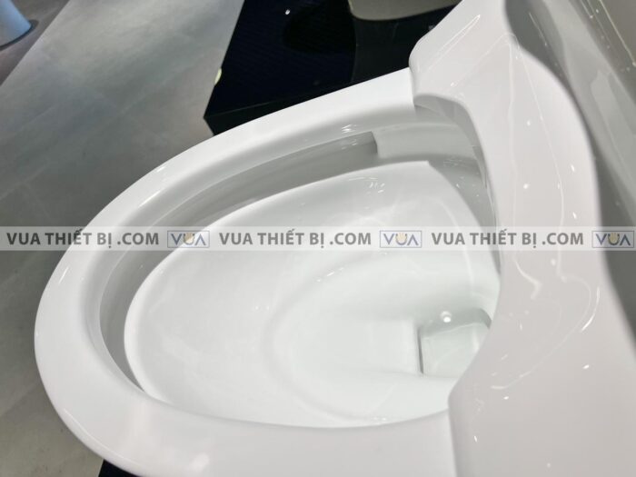 anh thuc te bon cau 1 khoi toto ms887crw15 nap rua dien tu tcf24460aaa 10