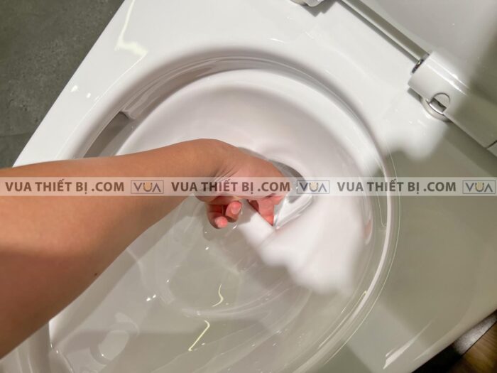 anh thuc te bon cau 1 khoi toto ms887t8 ms887rt8 nap em tc600vs 8